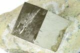 Large, Natural Pyrite Cube In Rock - Navajun, Spain #168511-1